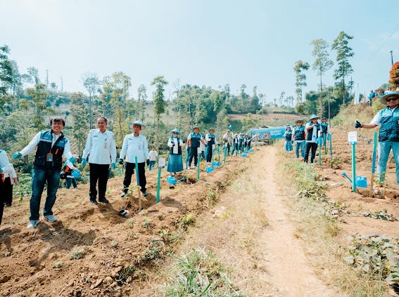 Gambar Berita