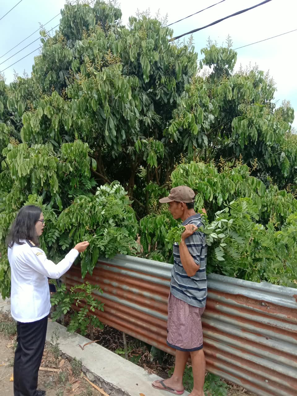 Gambar Berita